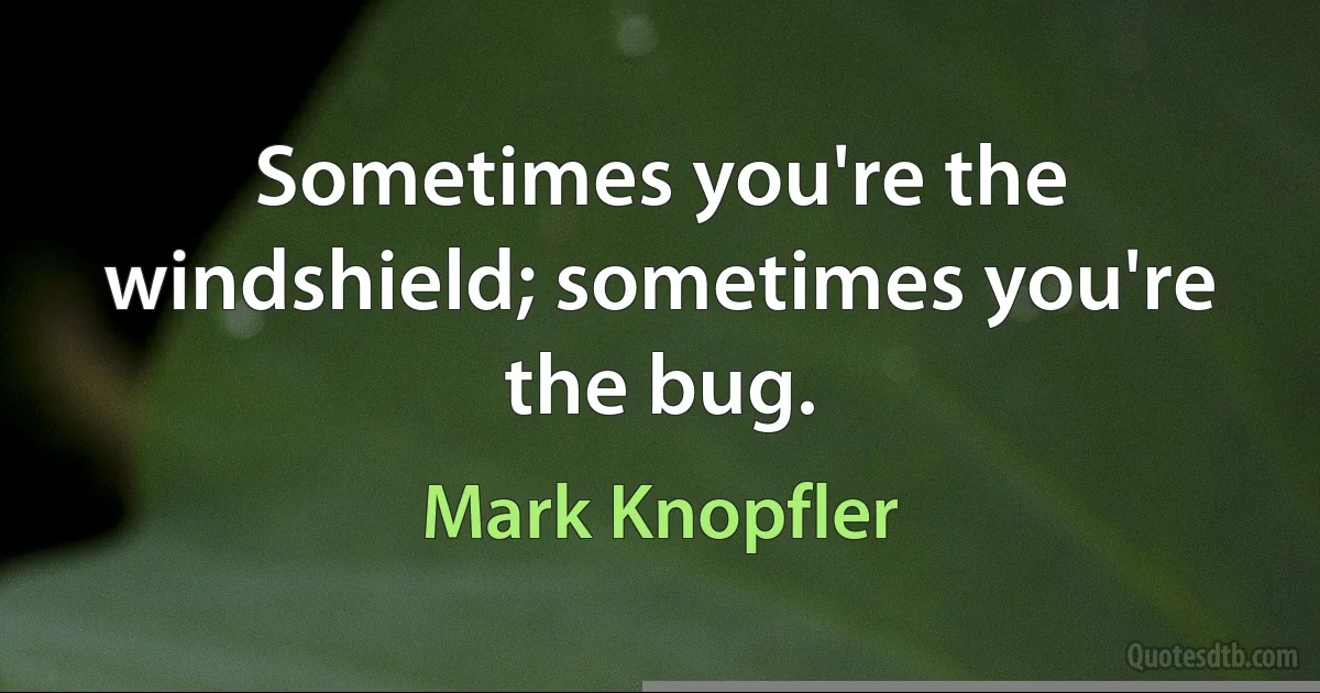 Sometimes you're the windshield; sometimes you're the bug. (Mark Knopfler)