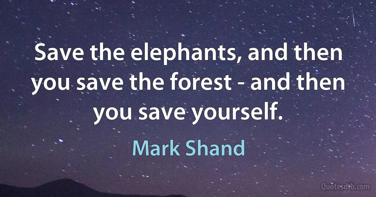 Save the elephants, and then you save the forest - and then you save yourself. (Mark Shand)