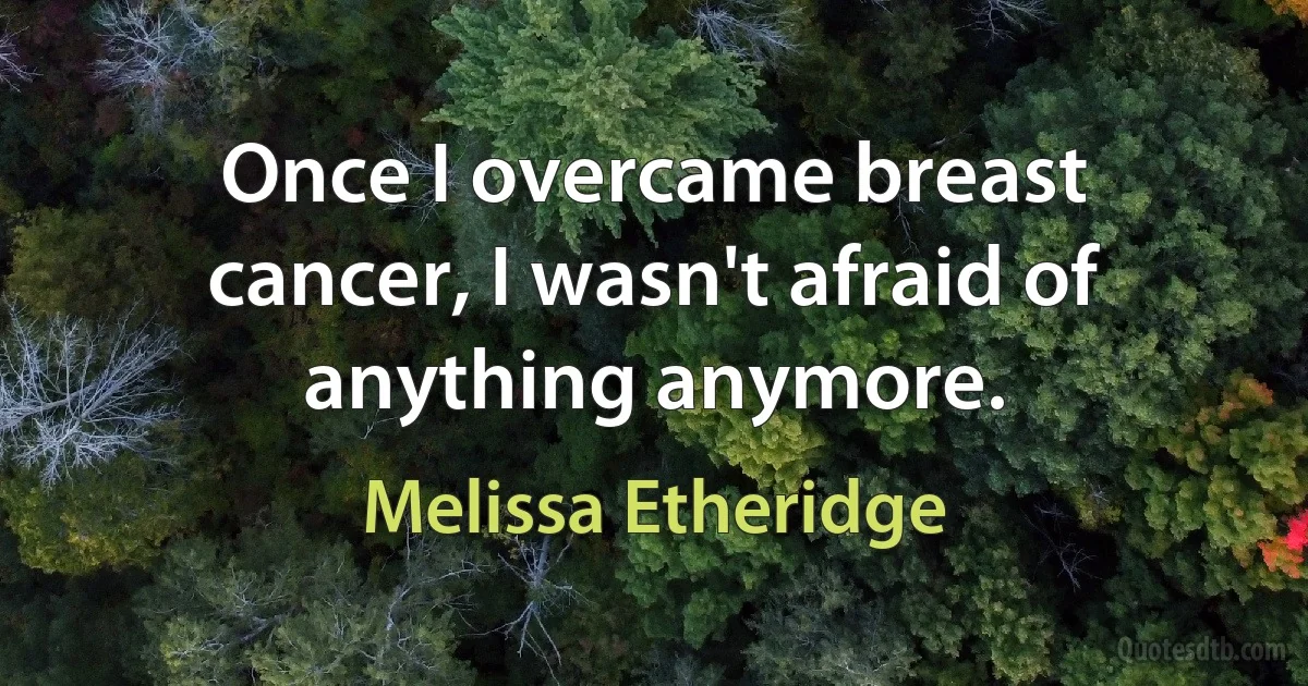 Once I overcame breast cancer, I wasn't afraid of anything anymore. (Melissa Etheridge)