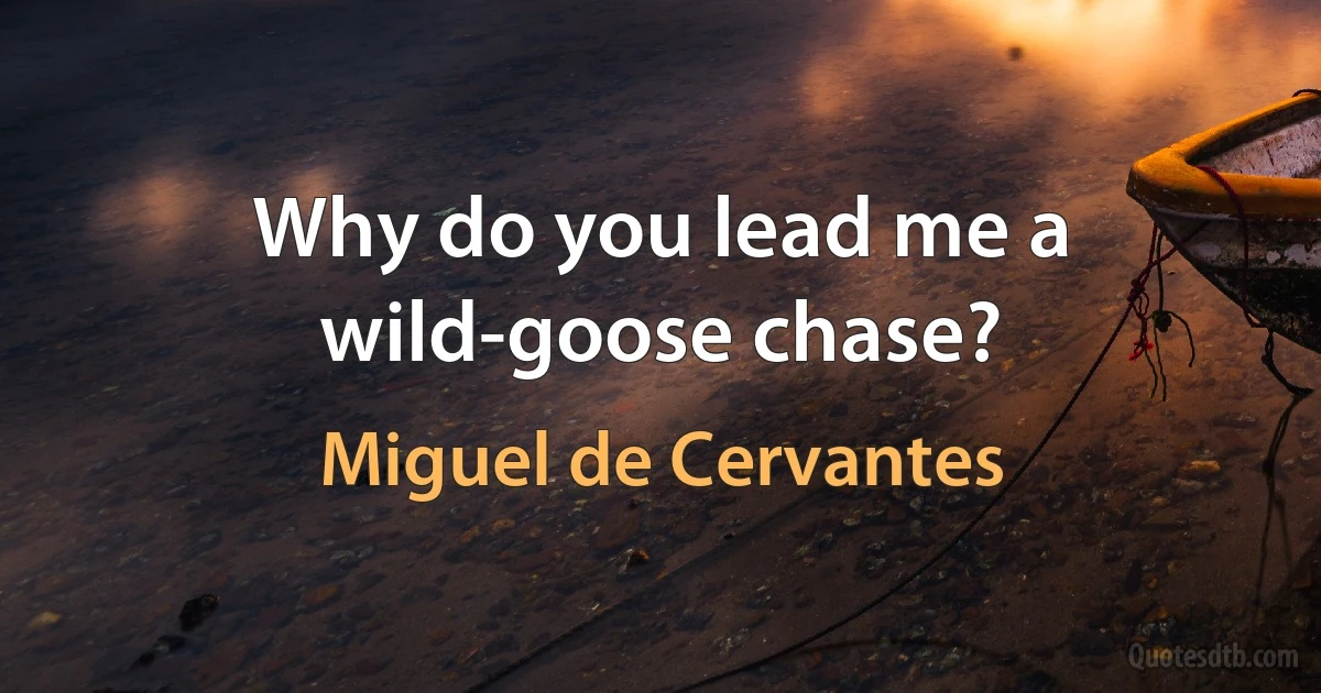 Why do you lead me a wild-goose chase? (Miguel de Cervantes)