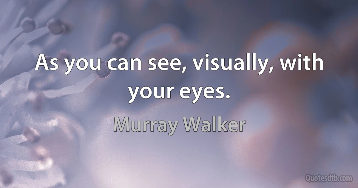 As you can see, visually, with your eyes. (Murray Walker)