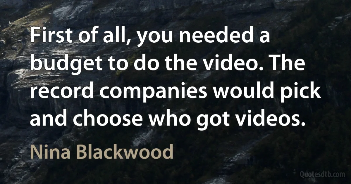 First of all, you needed a budget to do the video. The record companies would pick and choose who got videos. (Nina Blackwood)