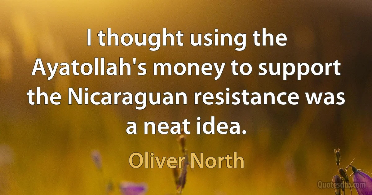 I thought using the Ayatollah's money to support the Nicaraguan resistance was a neat idea. (Oliver North)