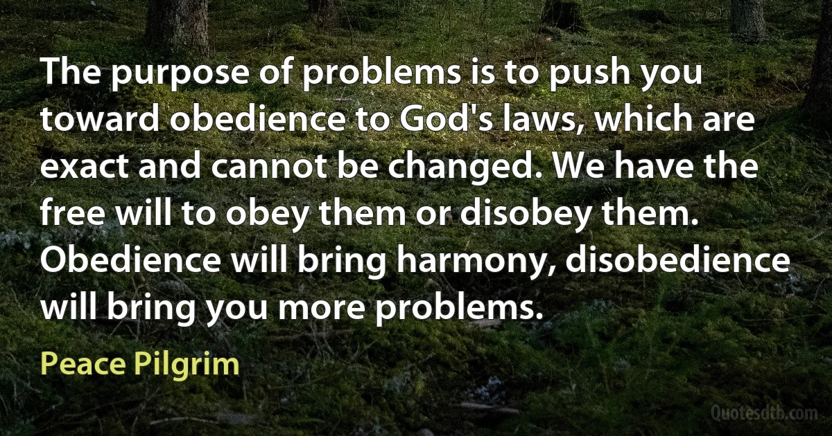 The purpose of problems is to push you toward obedience to God's laws, which are exact and cannot be changed. We have the free will to obey them or disobey them. Obedience will bring harmony, disobedience will bring you more problems. (Peace Pilgrim)