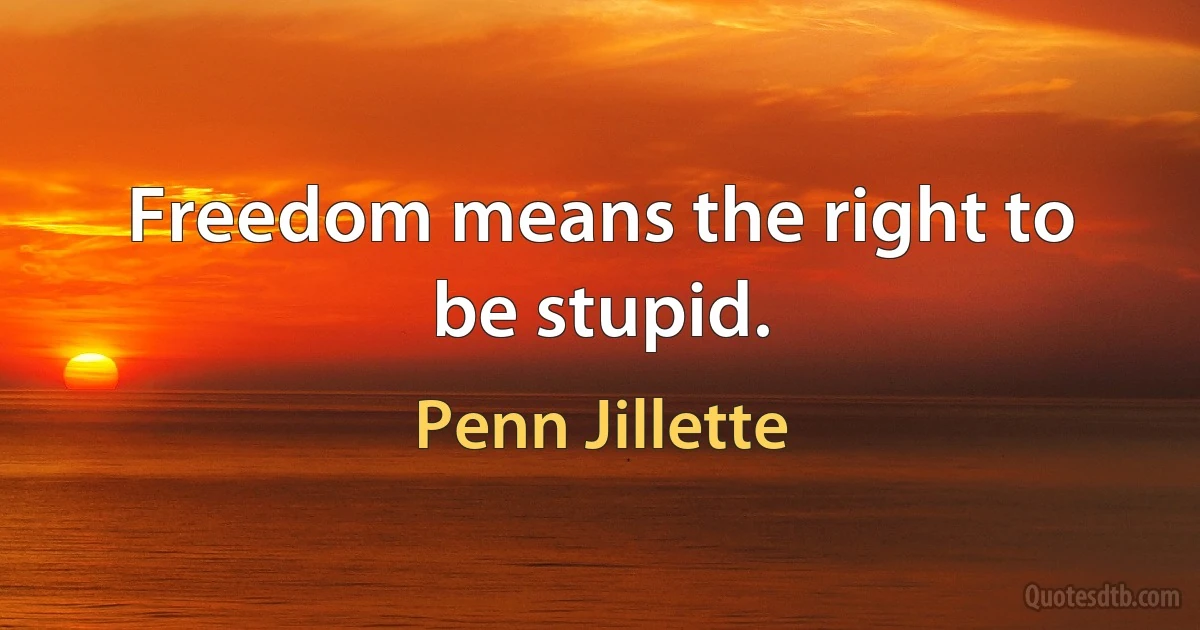 Freedom means the right to be stupid. (Penn Jillette)