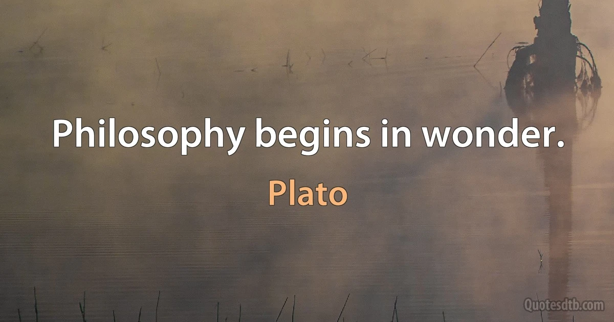 Philosophy begins in wonder. (Plato)