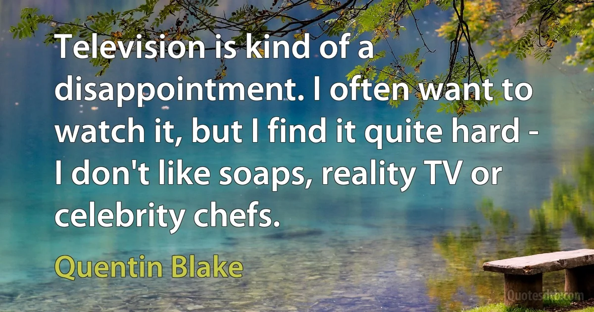 Television is kind of a disappointment. I often want to watch it, but I find it quite hard - I don't like soaps, reality TV or celebrity chefs. (Quentin Blake)