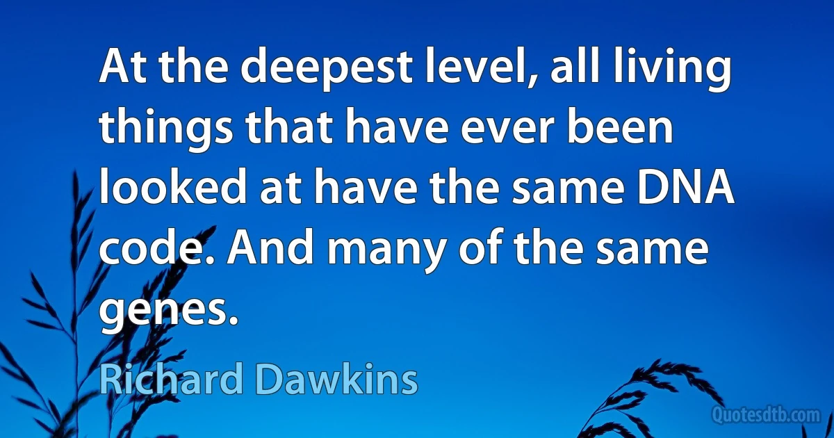 At the deepest level, all living things that have ever been looked at have the same DNA code. And many of the same genes. (Richard Dawkins)