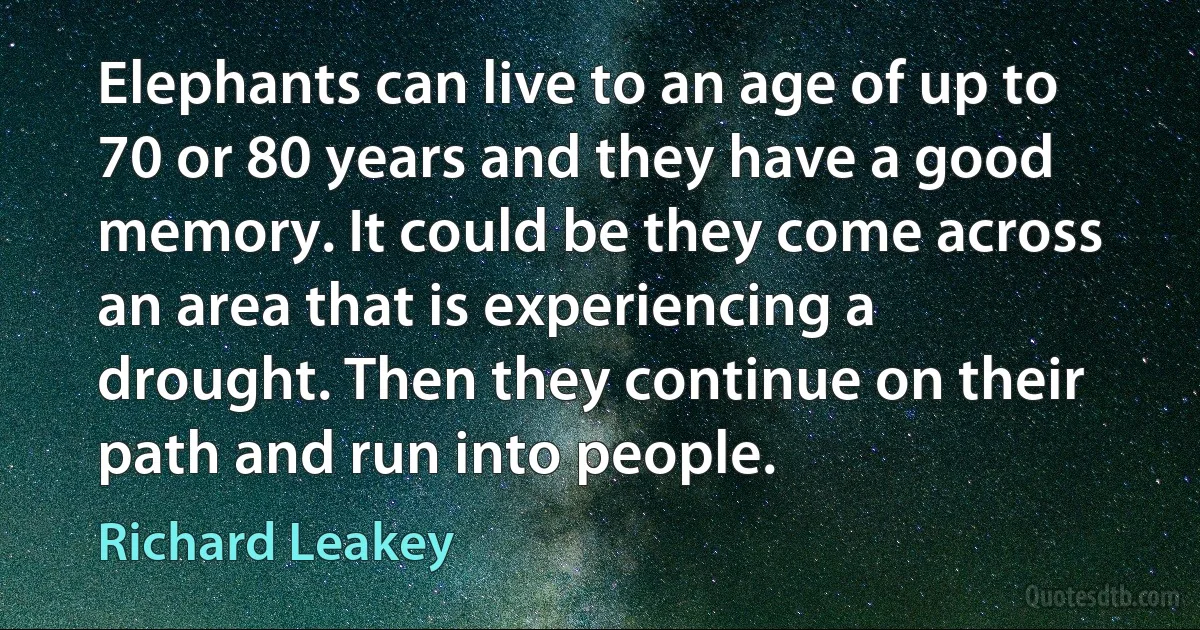 Elephants can live to an age of up to 70 or 80 years and they have a good memory. It could be they come across an area that is experiencing a drought. Then they continue on their path and run into people. (Richard Leakey)