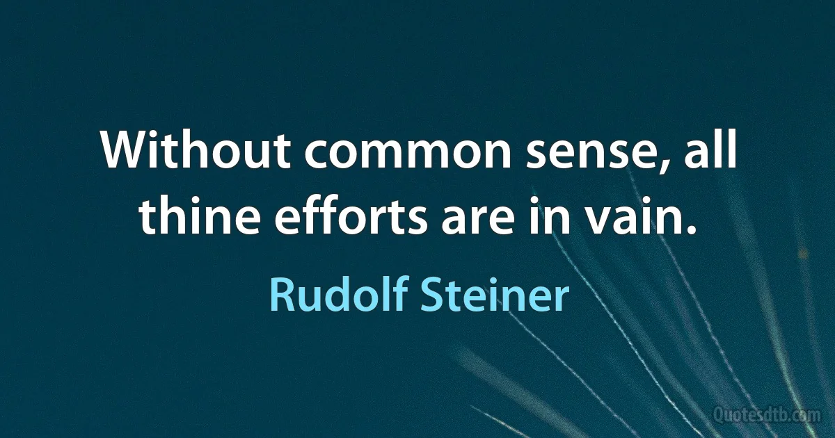 Without common sense, all thine efforts are in vain. (Rudolf Steiner)