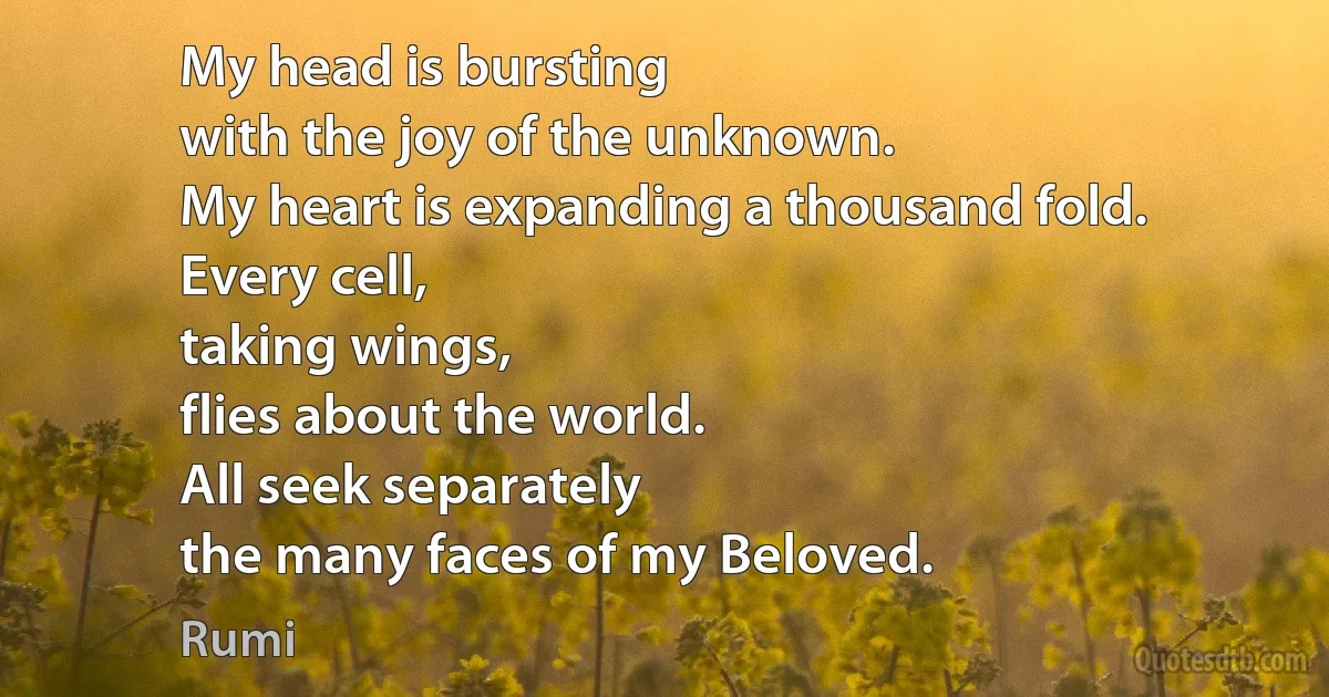 My head is bursting
with the joy of the unknown.
My heart is expanding a thousand fold.
Every cell,
taking wings,
flies about the world.
All seek separately
the many faces of my Beloved. (Rumi)