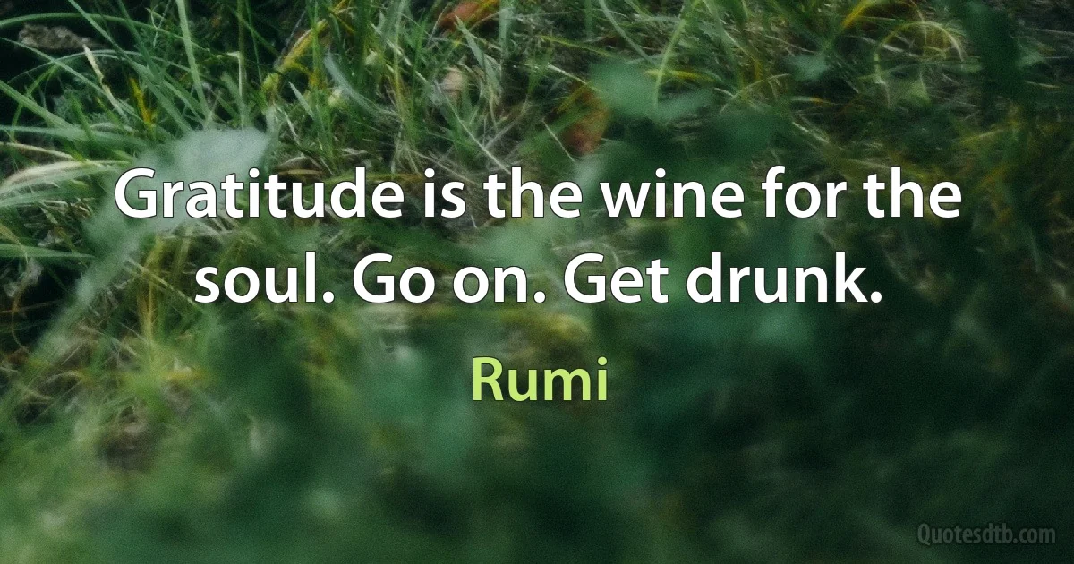 Gratitude is the wine for the soul. Go on. Get drunk. (Rumi)