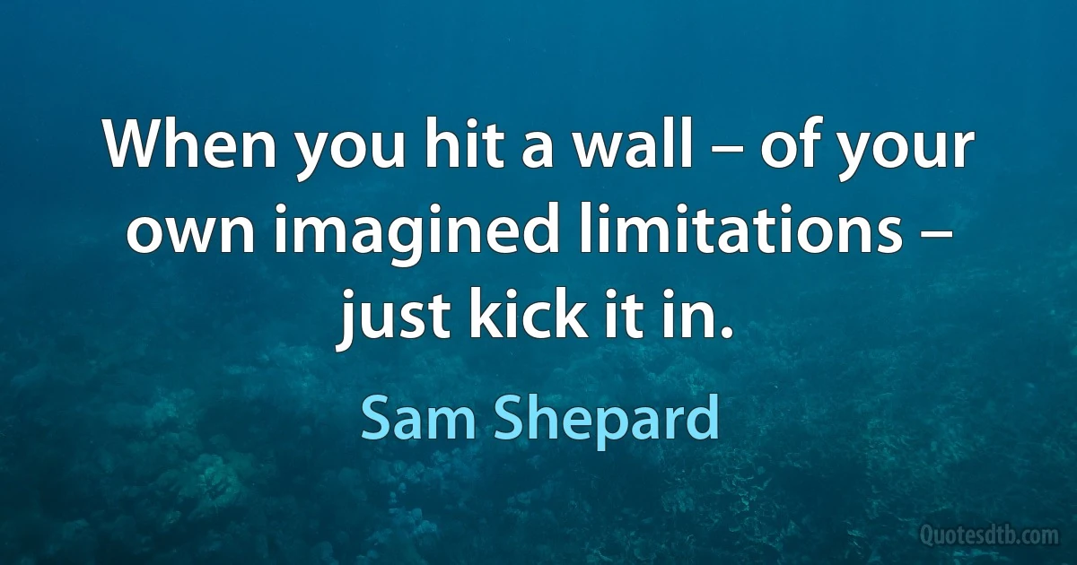 When you hit a wall – of your own imagined limitations – just kick it in. (Sam Shepard)