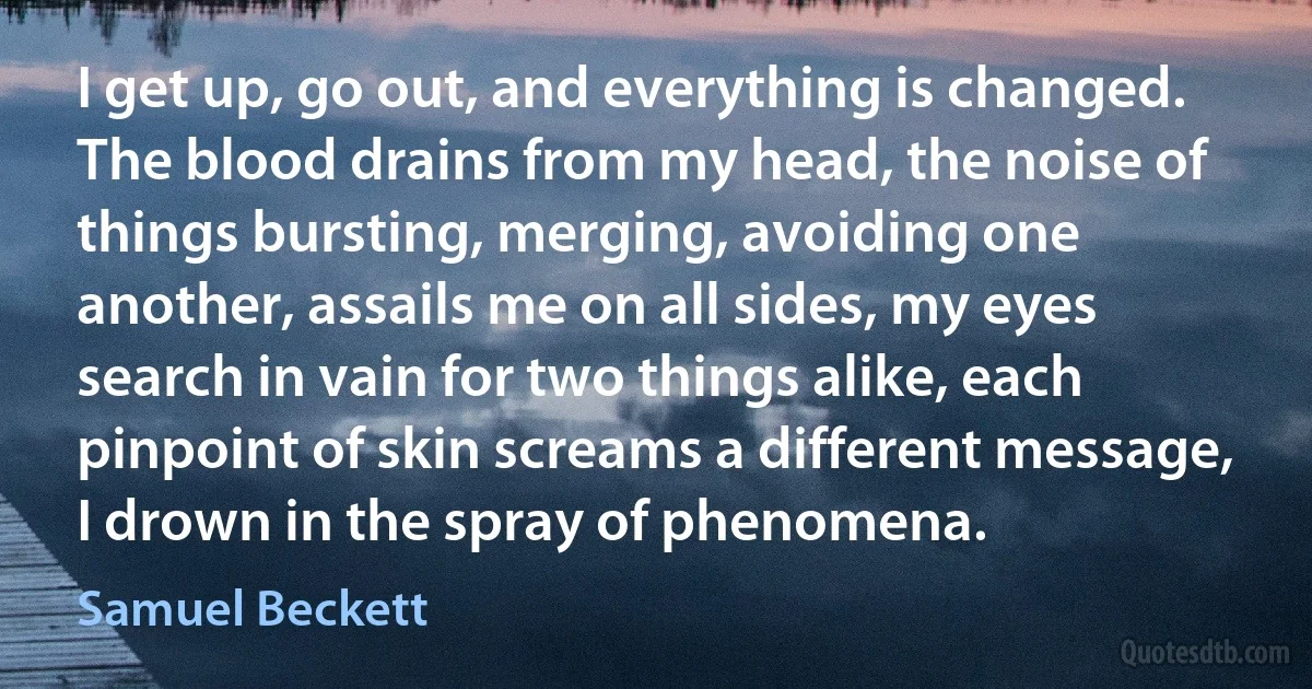 I get up, go out, and everything is changed. The blood drains from my head, the noise of things bursting, merging, avoiding one another, assails me on all sides, my eyes search in vain for two things alike, each pinpoint of skin screams a different message, I drown in the spray of phenomena. (Samuel Beckett)