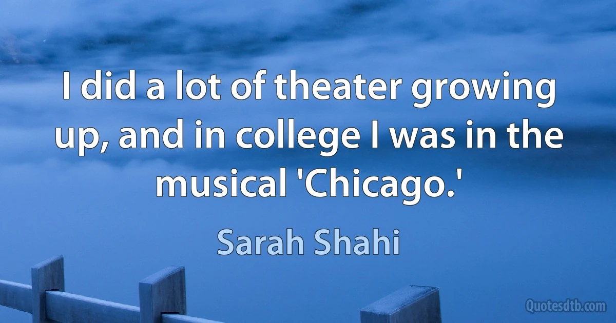 I did a lot of theater growing up, and in college I was in the musical 'Chicago.' (Sarah Shahi)