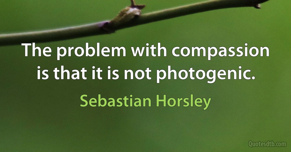 The problem with compassion is that it is not photogenic. (Sebastian Horsley)