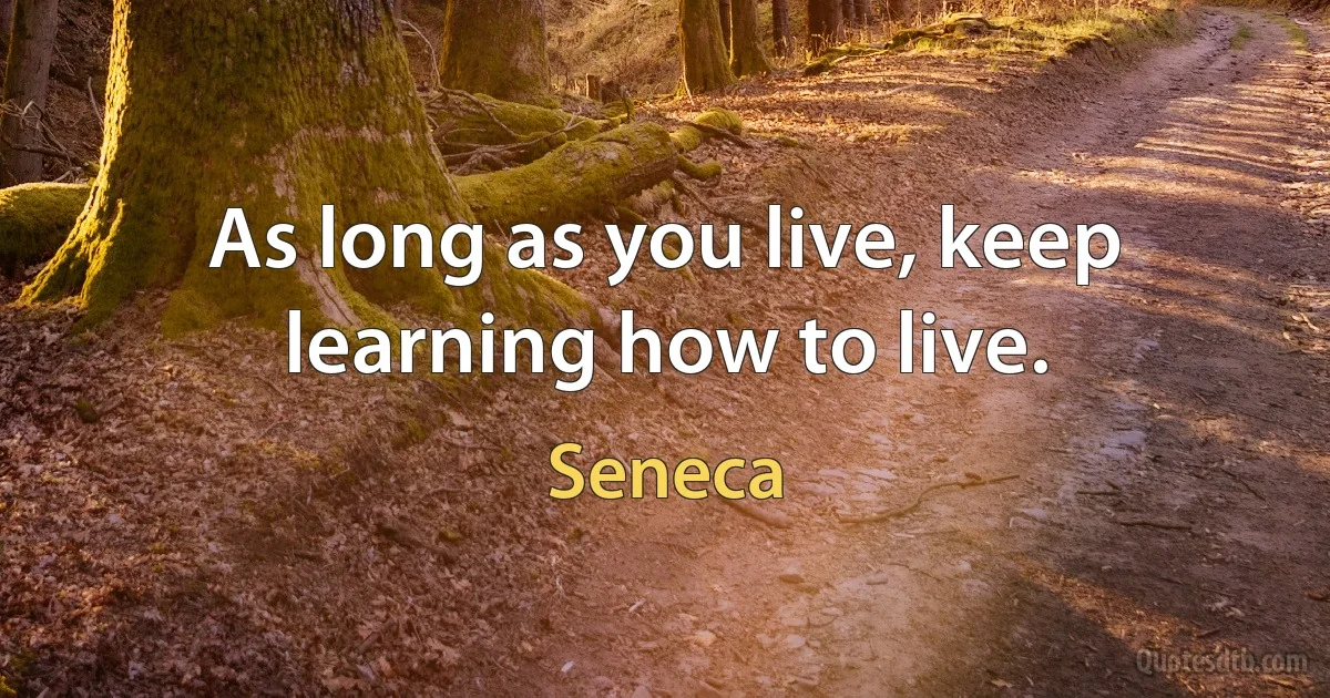 As long as you live, keep learning how to live. (Seneca)