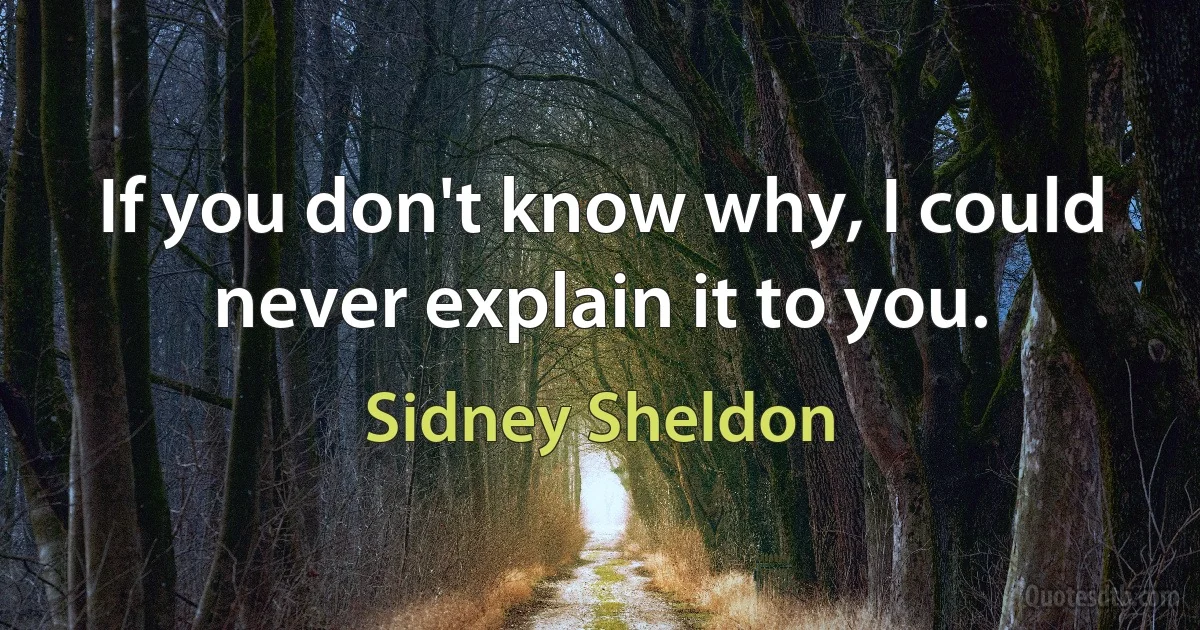 If you don't know why, I could never explain it to you. (Sidney Sheldon)