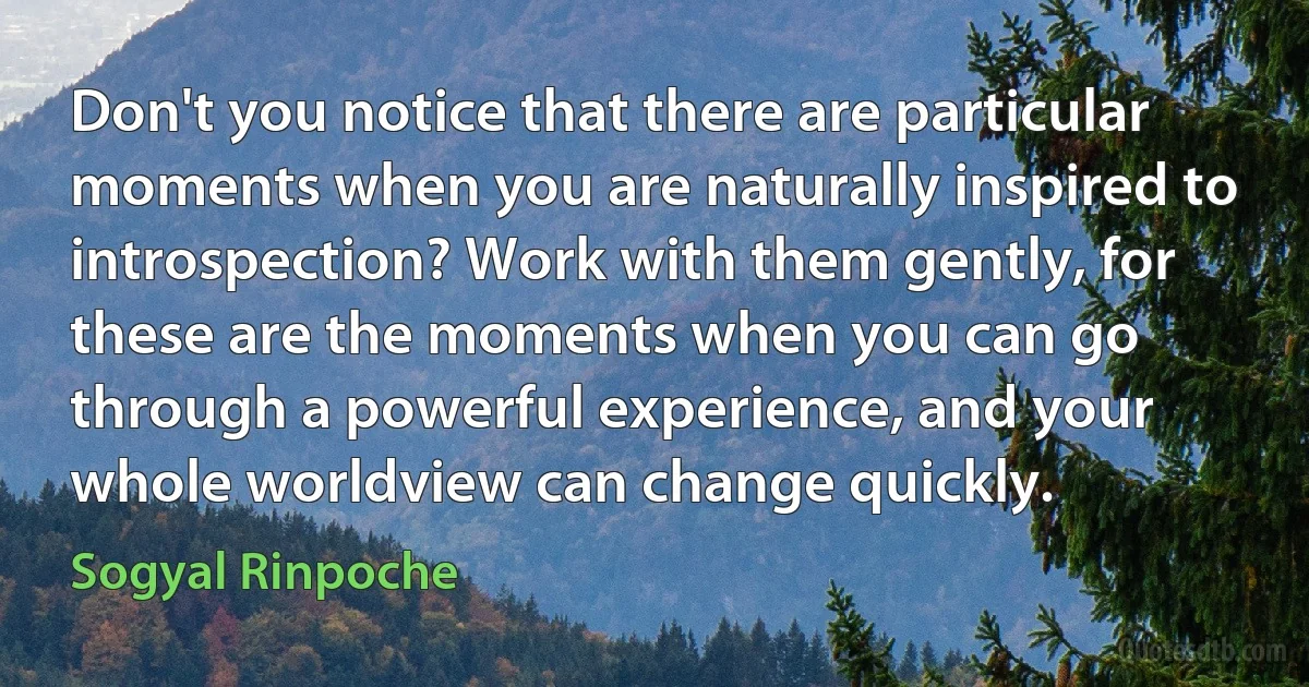 Don't you notice that there are particular moments when you are naturally inspired to introspection? Work with them gently, for these are the moments when you can go through a powerful experience, and your whole worldview can change quickly. (Sogyal Rinpoche)