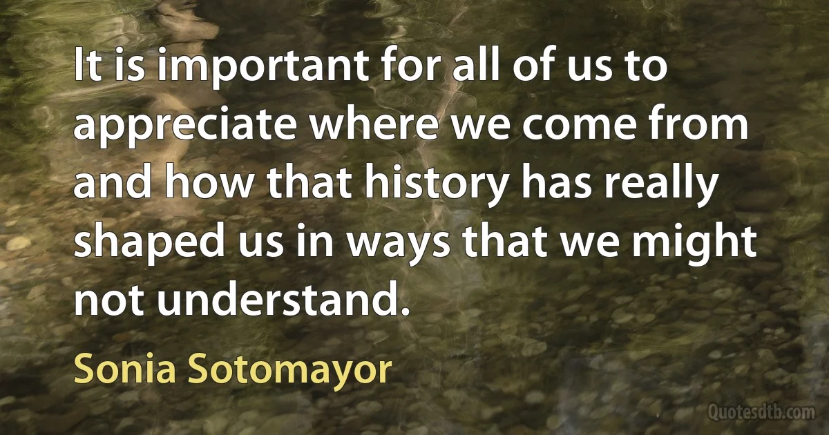 It is important for all of us to appreciate where we come from and how that history has really shaped us in ways that we might not understand. (Sonia Sotomayor)