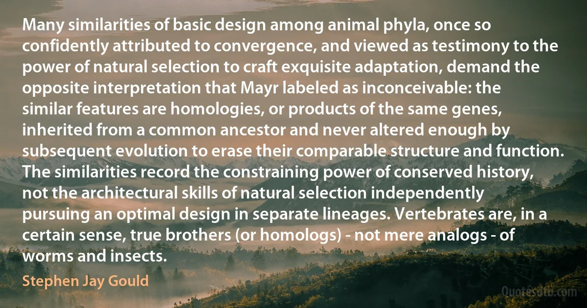 Many similarities of basic design among animal phyla, once so confidently attributed to convergence, and viewed as testimony to the power of natural selection to craft exquisite adaptation, demand the opposite interpretation that Mayr labeled as inconceivable: the similar features are homologies, or products of the same genes, inherited from a common ancestor and never altered enough by subsequent evolution to erase their comparable structure and function. The similarities record the constraining power of conserved history, not the architectural skills of natural selection independently pursuing an optimal design in separate lineages. Vertebrates are, in a certain sense, true brothers (or homologs) - not mere analogs - of worms and insects. (Stephen Jay Gould)