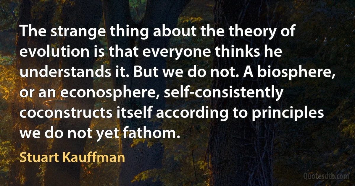 The strange thing about the theory of evolution is that everyone thinks he understands it. But we do not. A biosphere, or an econosphere, self-consistently coconstructs itself according to principles we do not yet fathom. (Stuart Kauffman)