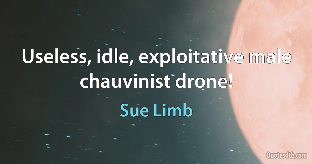 Useless, idle, exploitative male chauvinist drone! (Sue Limb)