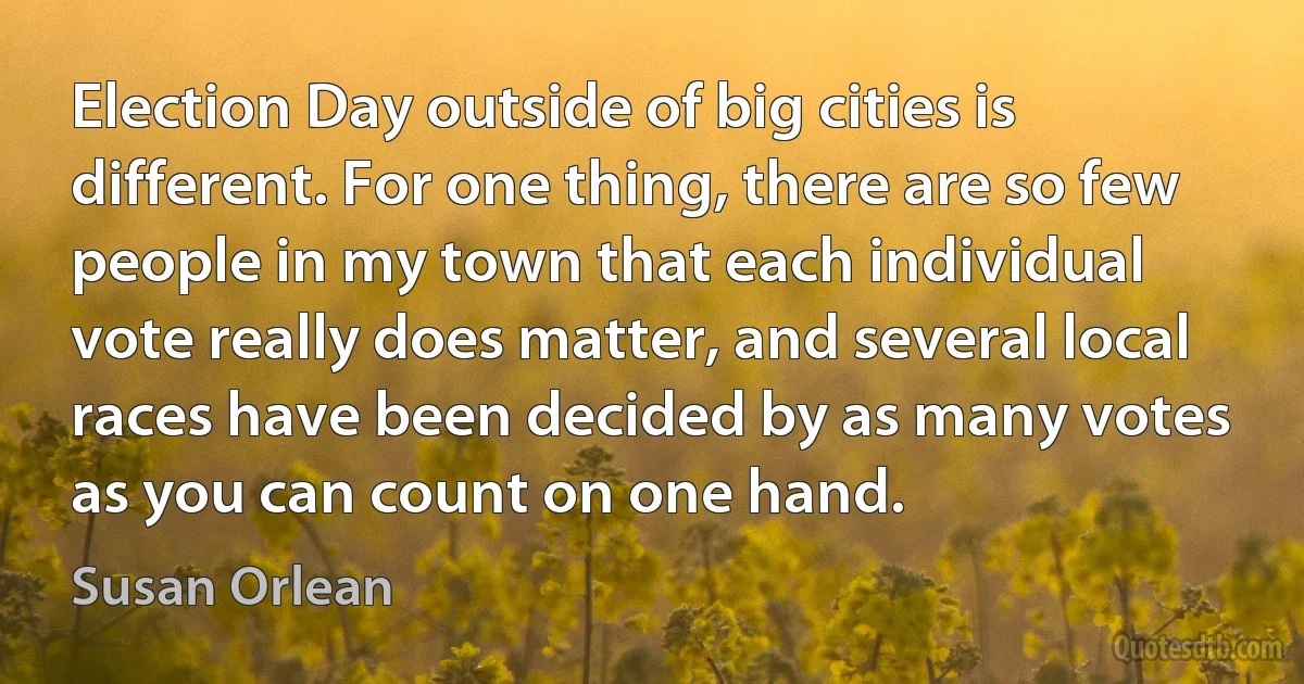 Election Day outside of big cities is different. For one thing, there are so few people in my town that each individual vote really does matter, and several local races have been decided by as many votes as you can count on one hand. (Susan Orlean)