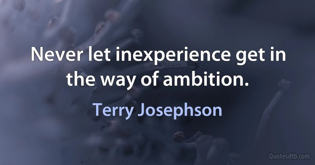 Never let inexperience get in the way of ambition. (Terry Josephson)