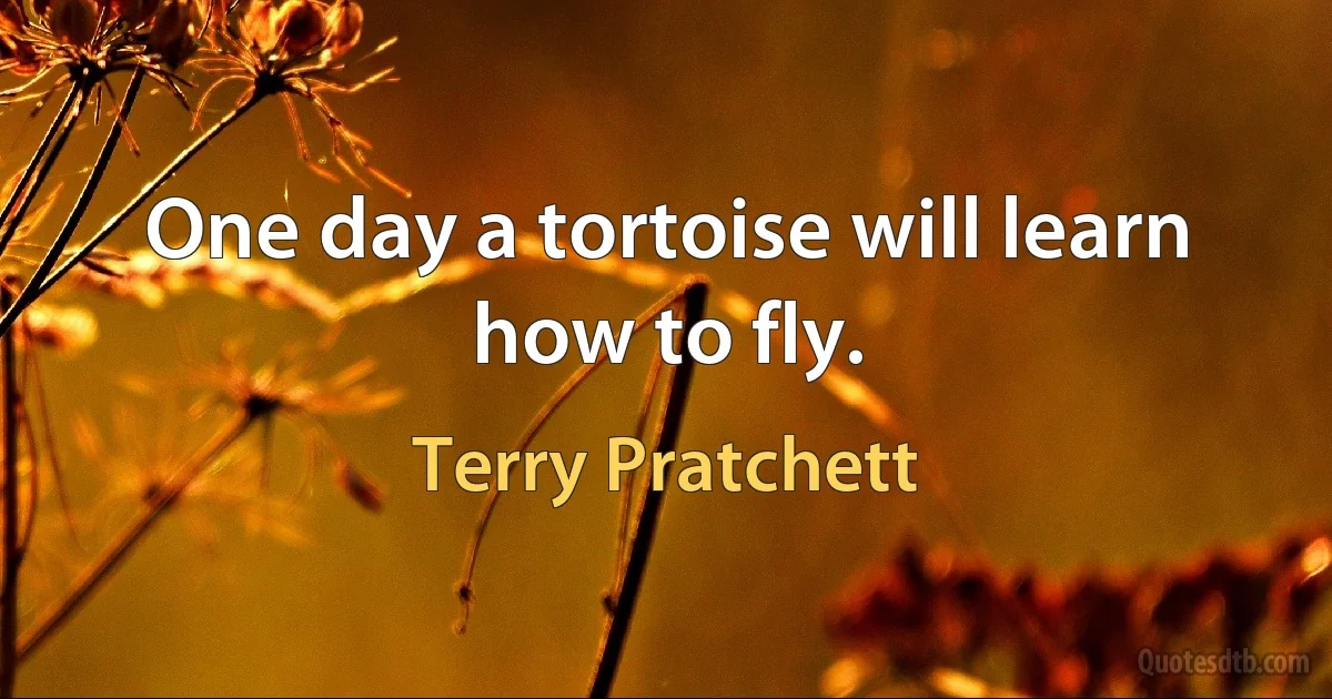 One day a tortoise will learn how to fly. (Terry Pratchett)