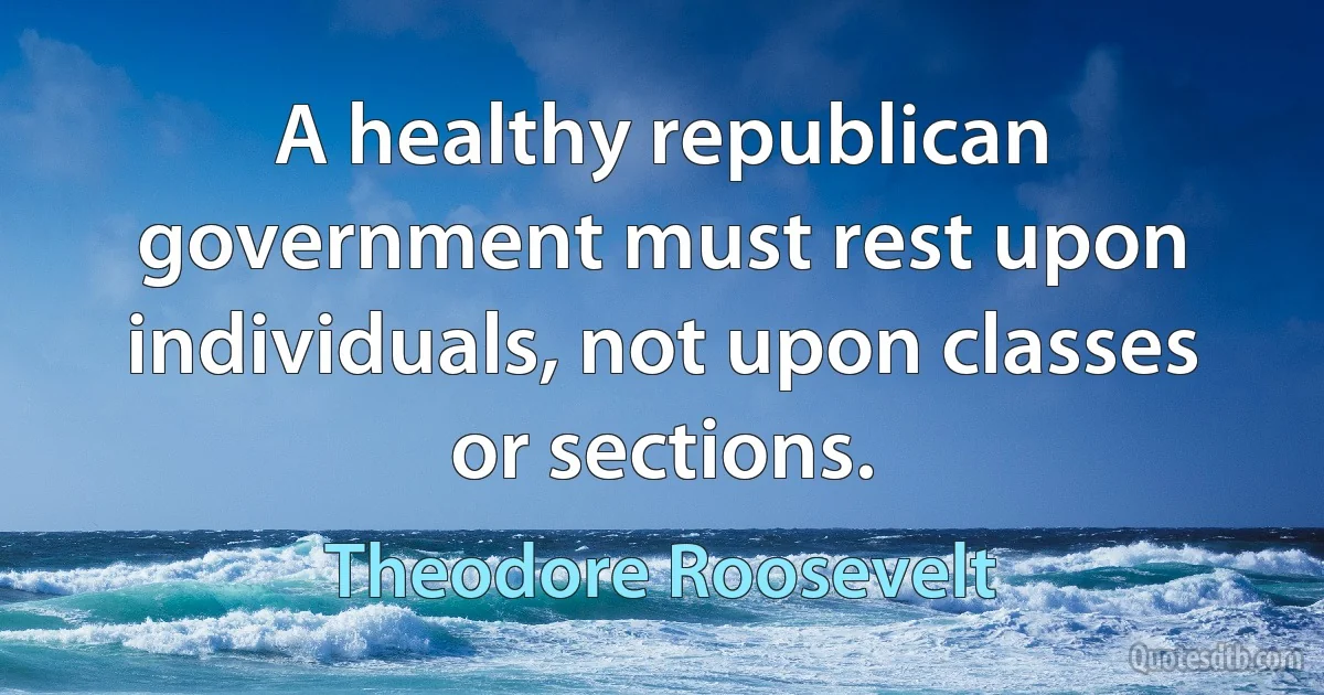 A healthy republican government must rest upon individuals, not upon classes or sections. (Theodore Roosevelt)