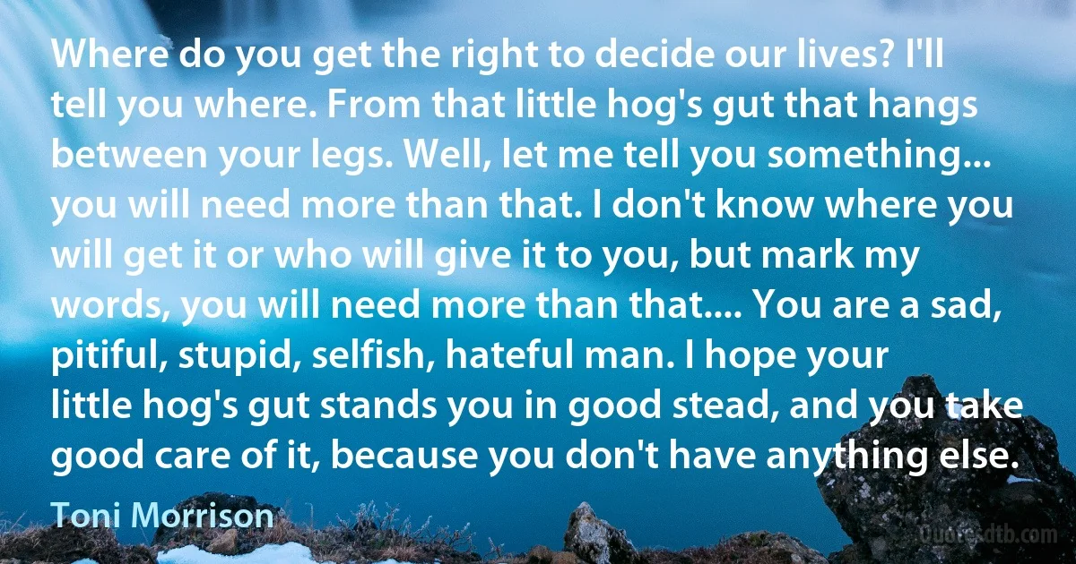 Where do you get the right to decide our lives? I'll tell you where. From that little hog's gut that hangs between your legs. Well, let me tell you something... you will need more than that. I don't know where you will get it or who will give it to you, but mark my words, you will need more than that.... You are a sad, pitiful, stupid, selfish, hateful man. I hope your little hog's gut stands you in good stead, and you take good care of it, because you don't have anything else. (Toni Morrison)