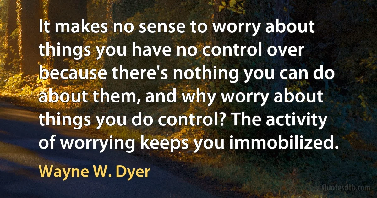 It makes no sense to worry about things you have no control over because there's nothing you can do about them, and why worry about things you do control? The activity of worrying keeps you immobilized. (Wayne W. Dyer)