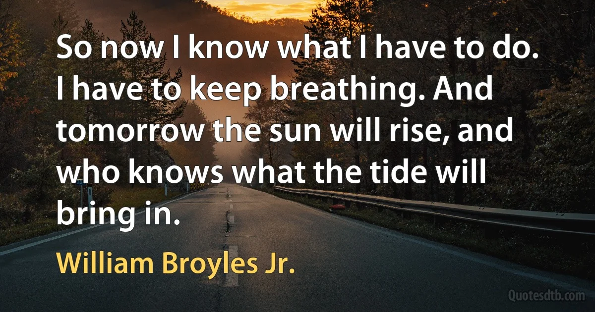 So now I know what I have to do. I have to keep breathing. And tomorrow the sun will rise, and who knows what the tide will bring in. (William Broyles Jr.)