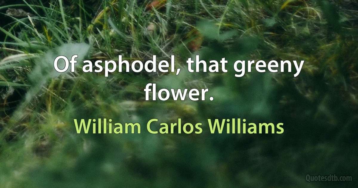 Of asphodel, that greeny flower. (William Carlos Williams)