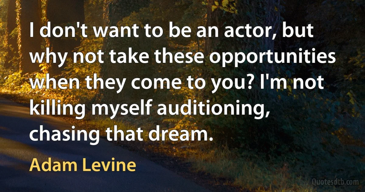 I don't want to be an actor, but why not take these opportunities when they come to you? I'm not killing myself auditioning, chasing that dream. (Adam Levine)