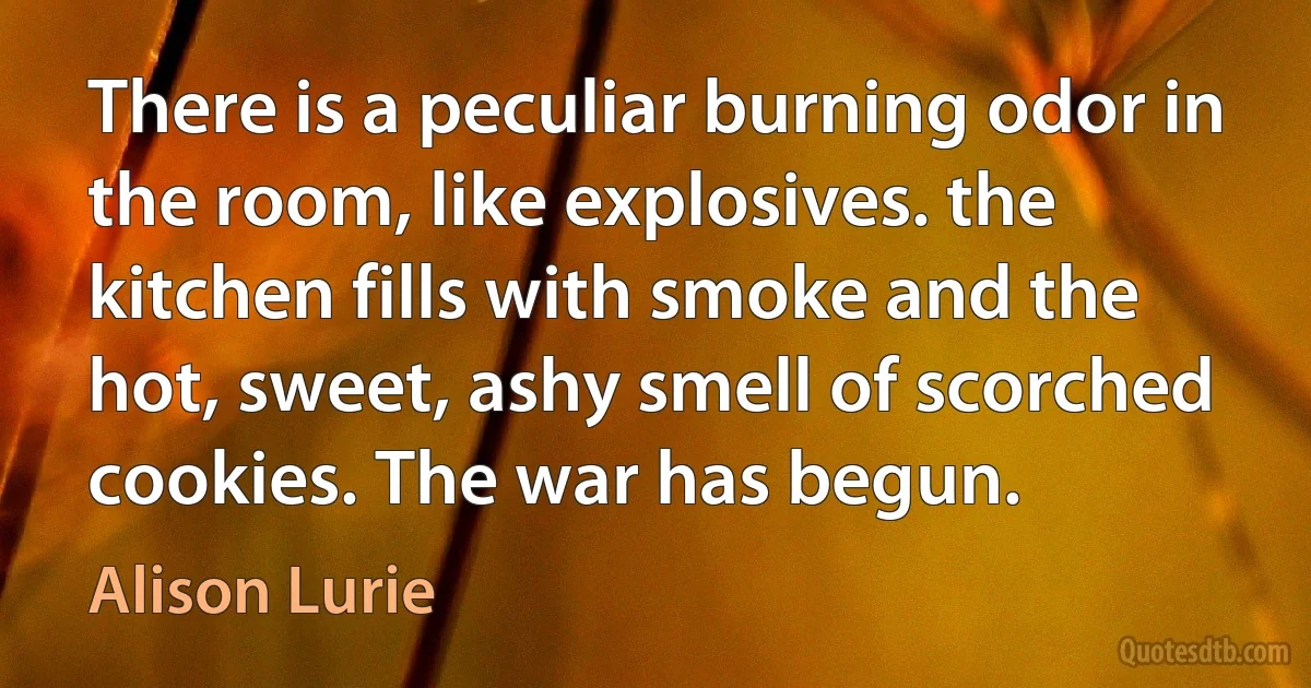 There is a peculiar burning odor in the room, like explosives. the kitchen fills with smoke and the hot, sweet, ashy smell of scorched cookies. The war has begun. (Alison Lurie)