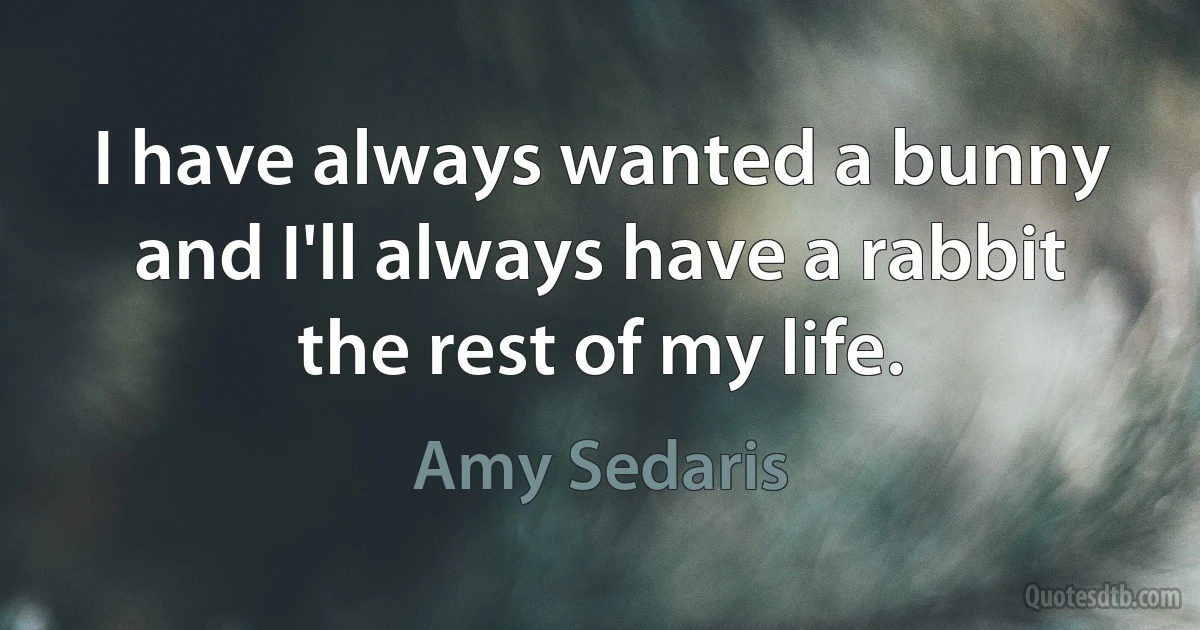 I have always wanted a bunny and I'll always have a rabbit the rest of my life. (Amy Sedaris)