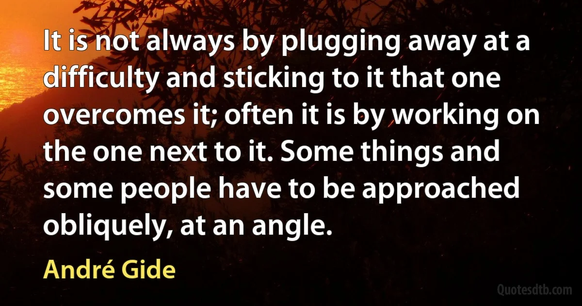 It is not always by plugging away at a difficulty and sticking to it that one overcomes it; often it is by working on the one next to it. Some things and some people have to be approached obliquely, at an angle. (André Gide)