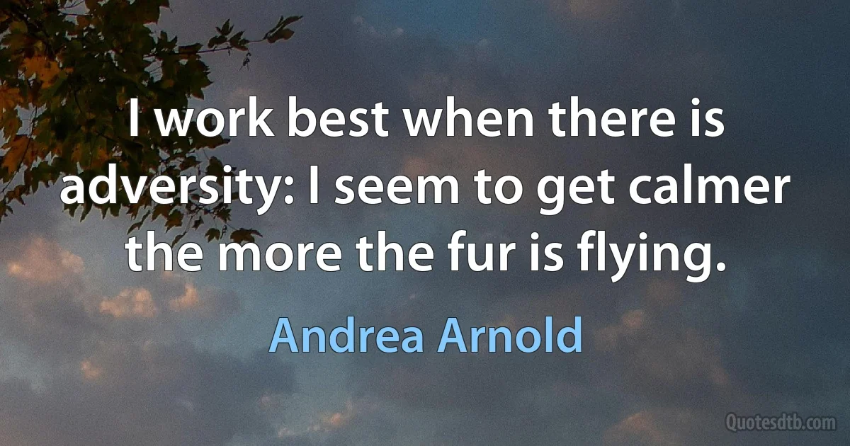 I work best when there is adversity: I seem to get calmer the more the fur is flying. (Andrea Arnold)