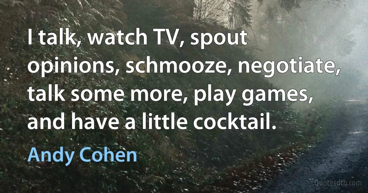 I talk, watch TV, spout opinions, schmooze, negotiate, talk some more, play games, and have a little cocktail. (Andy Cohen)