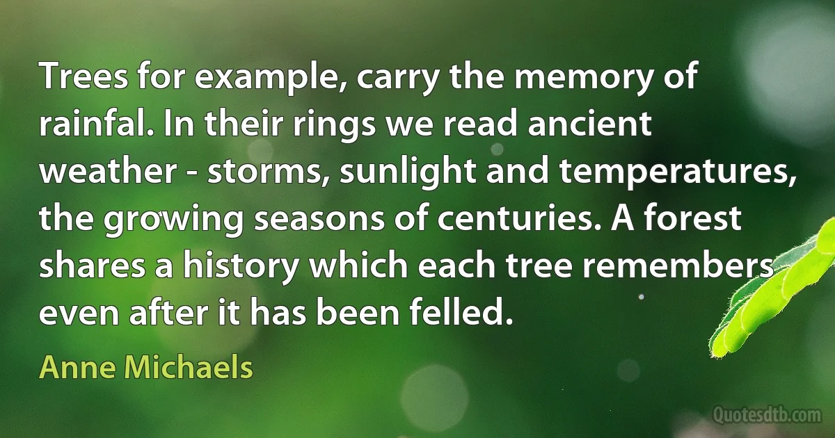 Trees for example, carry the memory of rainfal. In their rings we read ancient weather - storms, sunlight and temperatures, the growing seasons of centuries. A forest shares a history which each tree remembers even after it has been felled. (Anne Michaels)