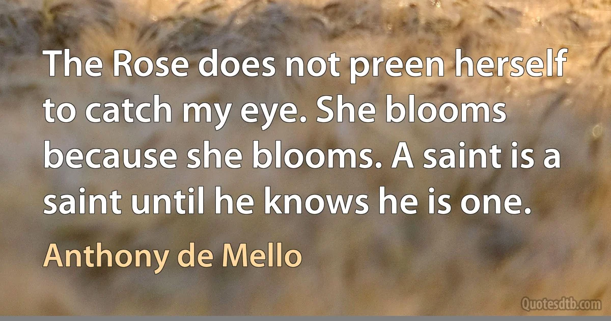 The Rose does not preen herself to catch my eye. She blooms because she blooms. A saint is a saint until he knows he is one. (Anthony de Mello)