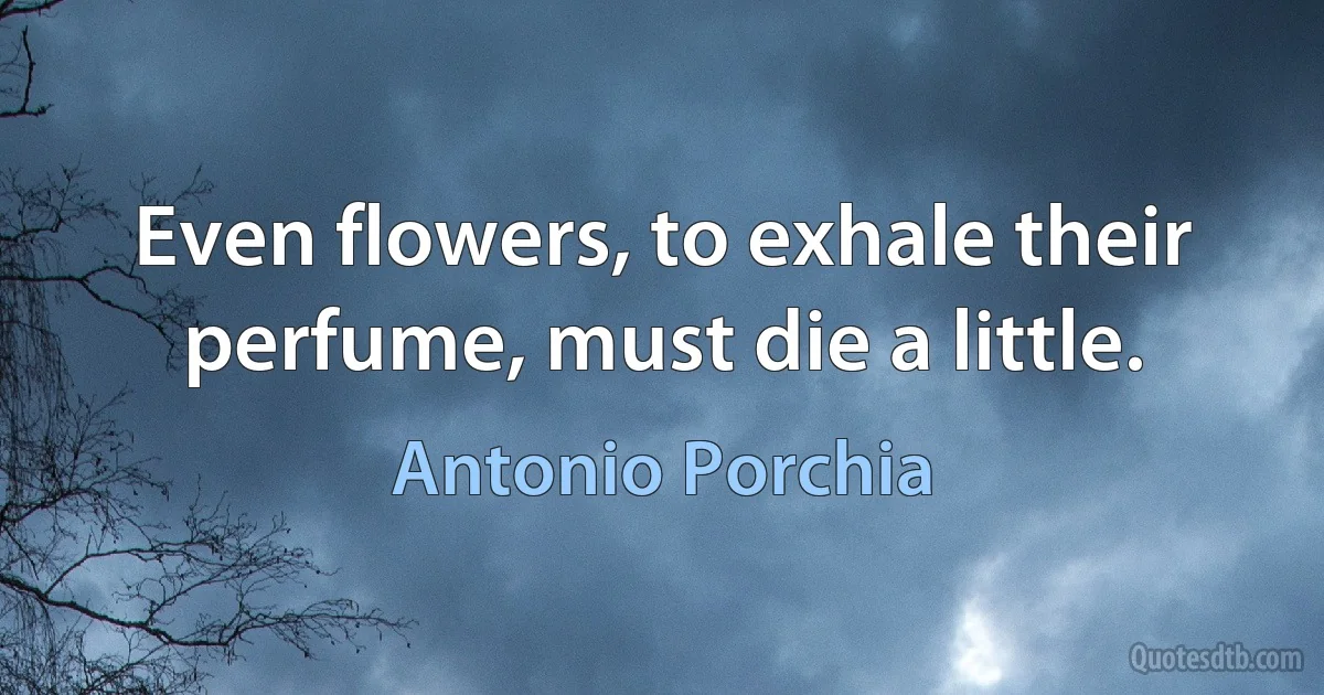 Even flowers, to exhale their perfume, must die a little. (Antonio Porchia)