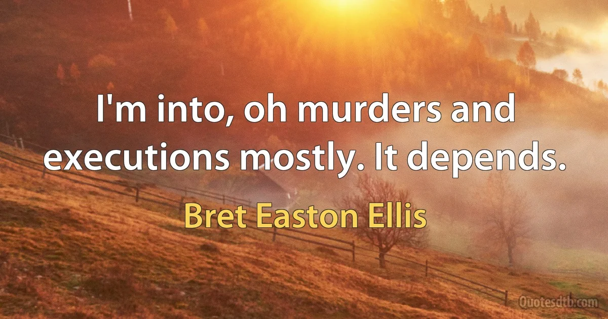 I'm into, oh murders and executions mostly. It depends. (Bret Easton Ellis)