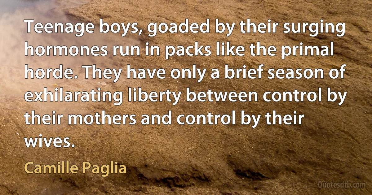 Teenage boys, goaded by their surging hormones run in packs like the primal horde. They have only a brief season of exhilarating liberty between control by their mothers and control by their wives. (Camille Paglia)