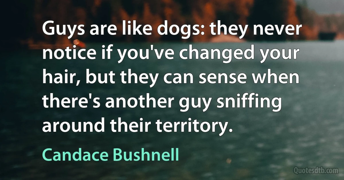 Guys are like dogs: they never notice if you've changed your hair, but they can sense when there's another guy sniffing around their territory. (Candace Bushnell)