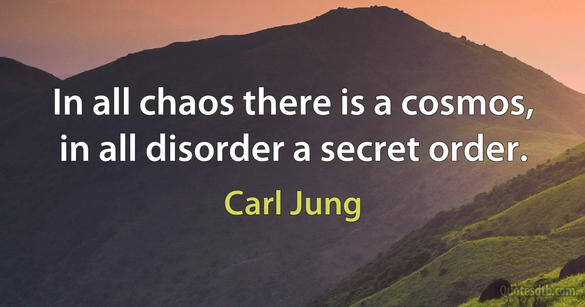 In all chaos there is a cosmos, in all disorder a secret order. (Carl Jung)