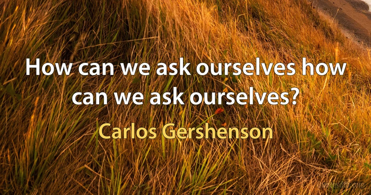 How can we ask ourselves how can we ask ourselves? (Carlos Gershenson)