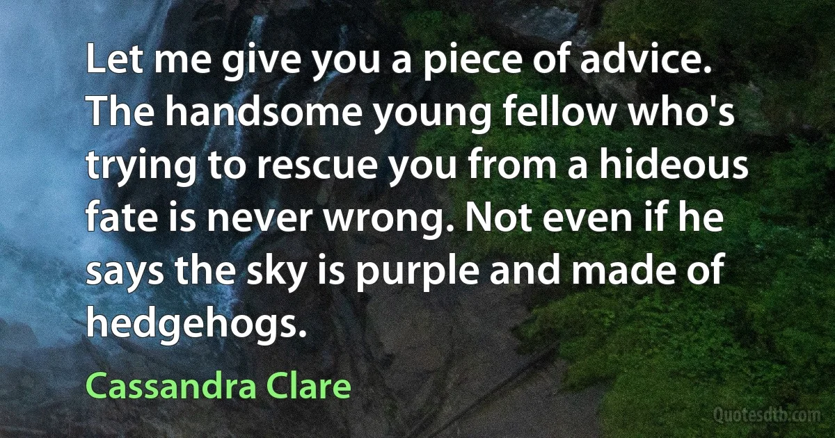 Let me give you a piece of advice. The handsome young fellow who's trying to rescue you from a hideous fate is never wrong. Not even if he says the sky is purple and made of hedgehogs. (Cassandra Clare)